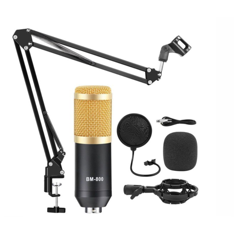 MIC BM800