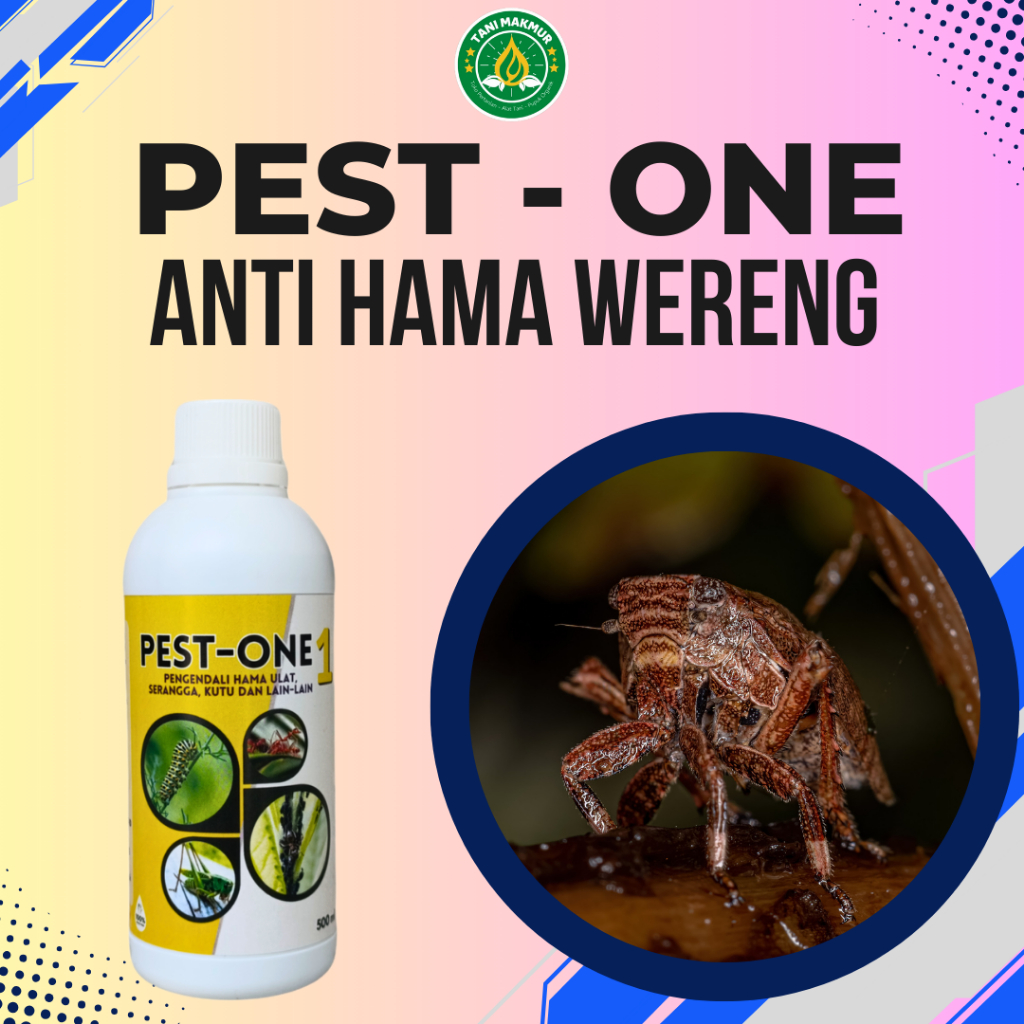 Pupuk Organik Cair Pembasmi Hama Wereng Padi