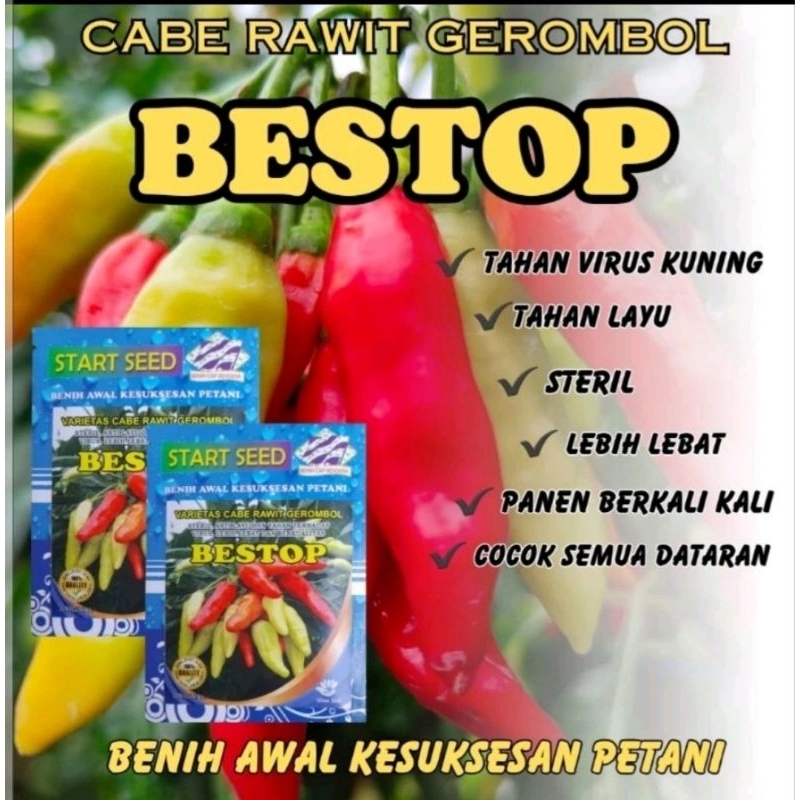 Benih Unggul Cabai Rawit Gerombol BESTOP 2000 Biji