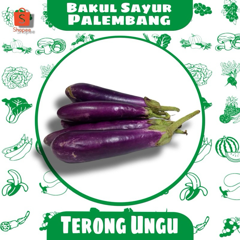 

Terong Ungu (PALEMBANG)