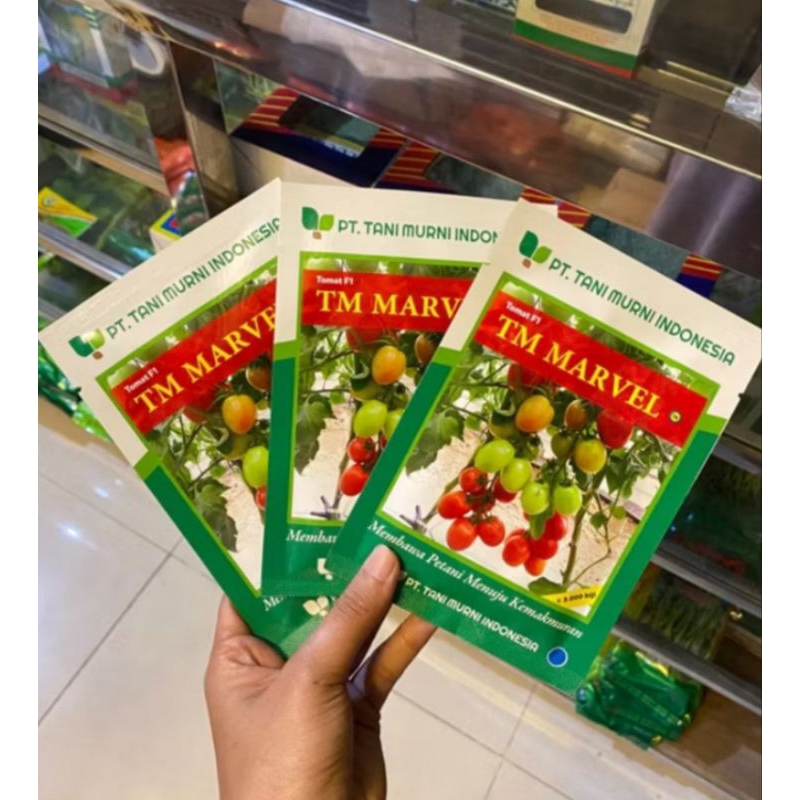 bibit tomat tm marvel 5 gram