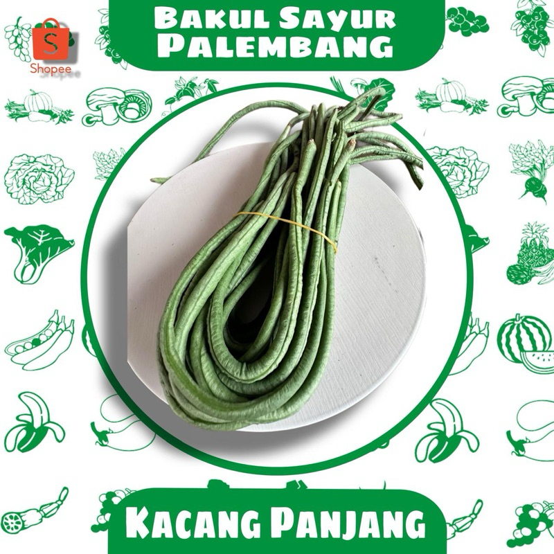 

Kacang Panjang (PALEMBANG)