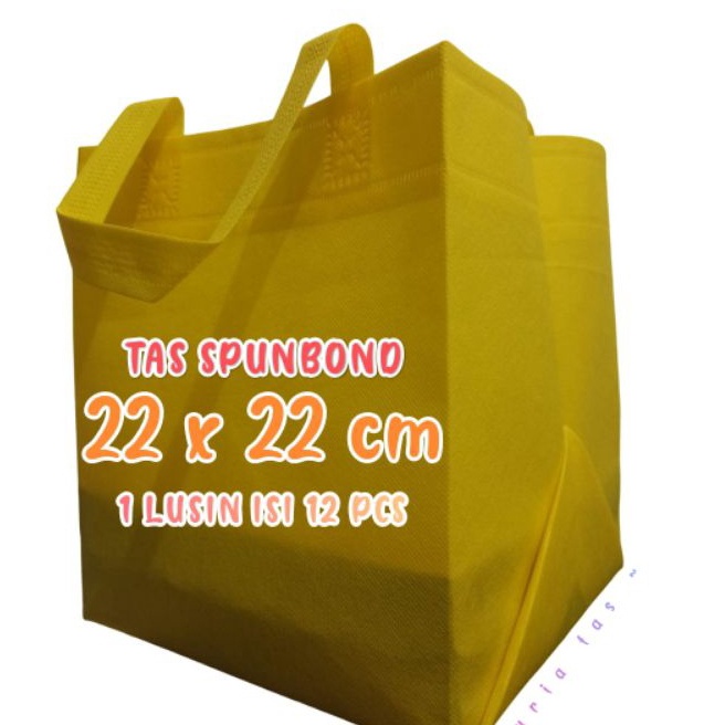 

Unggul 1 LUSIN ISI 12 PCS TAS HAJATAN SPUNBOND 22X22 CM TINGGI 25 CM