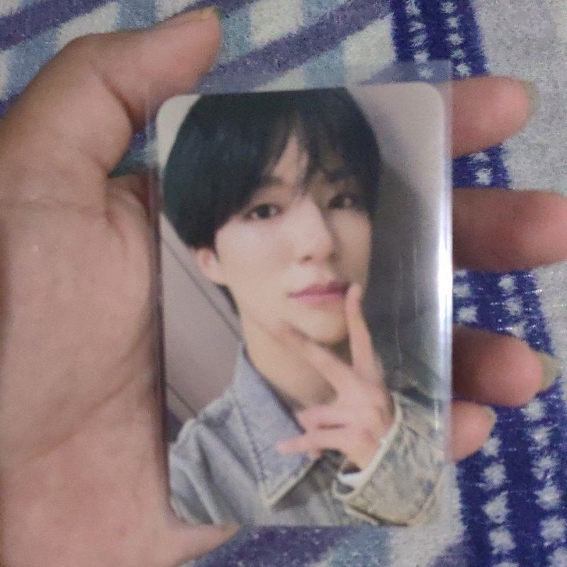 Jeno Dream Scape pob Mumo Smini