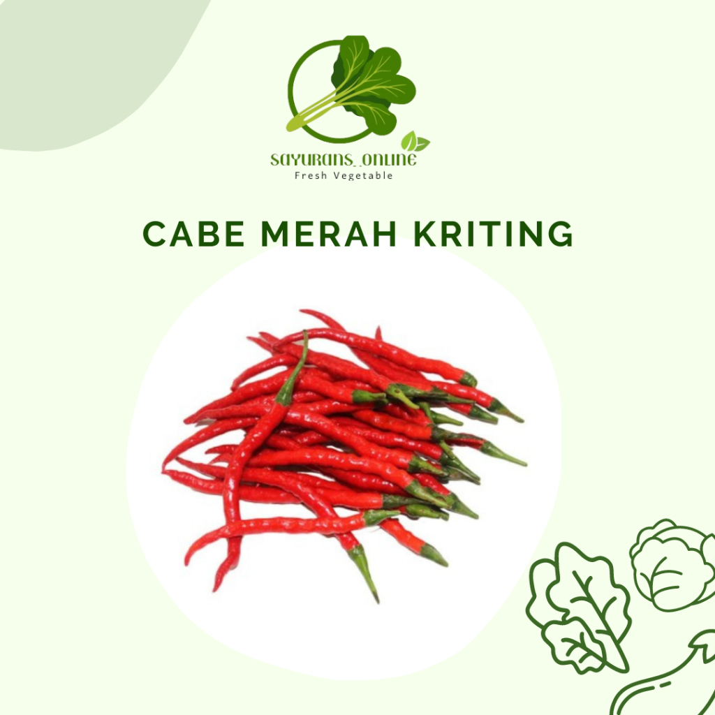 

cabe merah keriting // lombok keriting