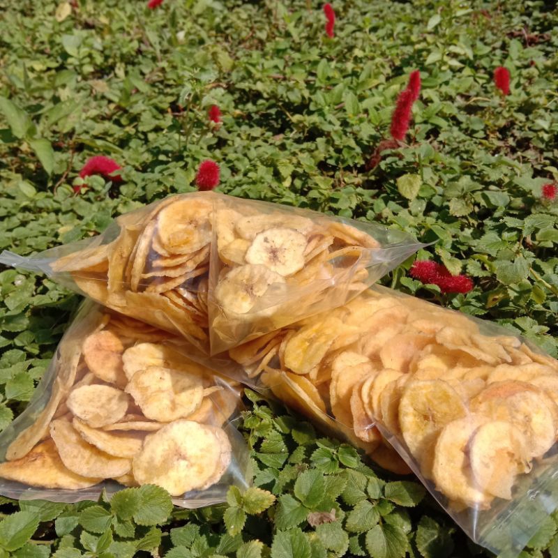 

kripik pisang coin 100gr