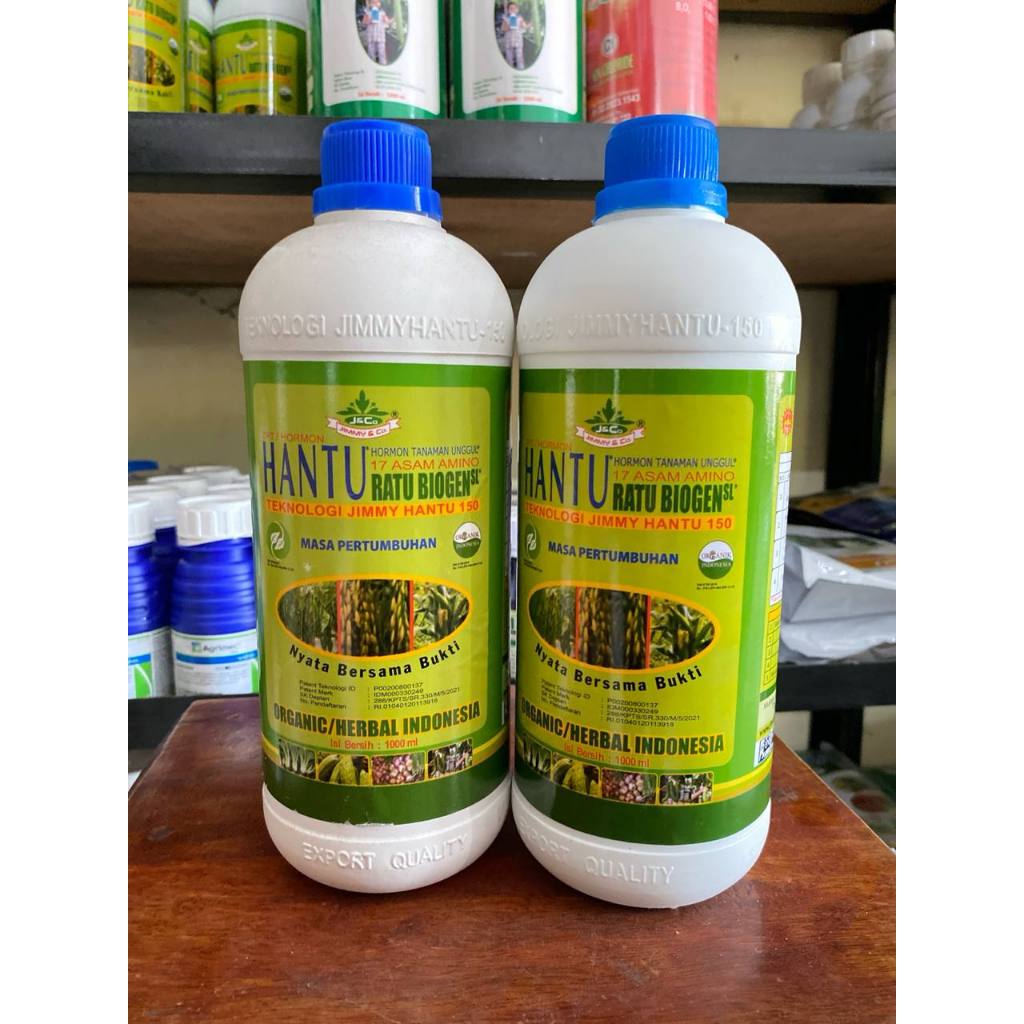 pupuk hantu ZPT hantu ratu biogen PERTUMBUHAN