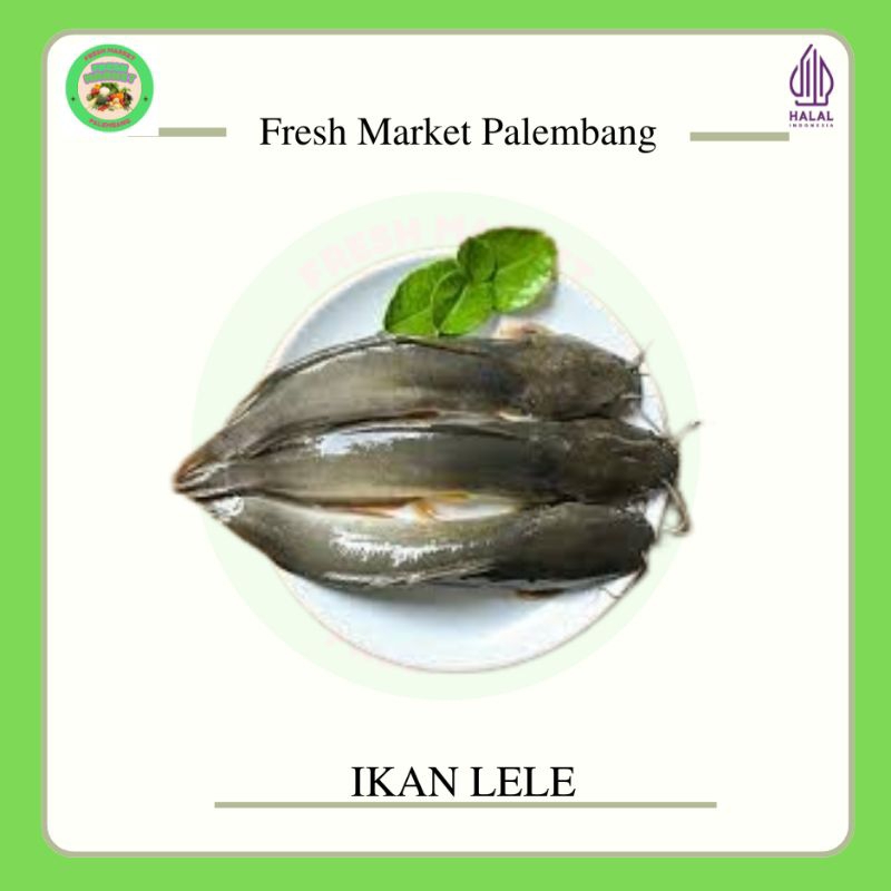 

Ikan lele -Fresh Market Palembang-