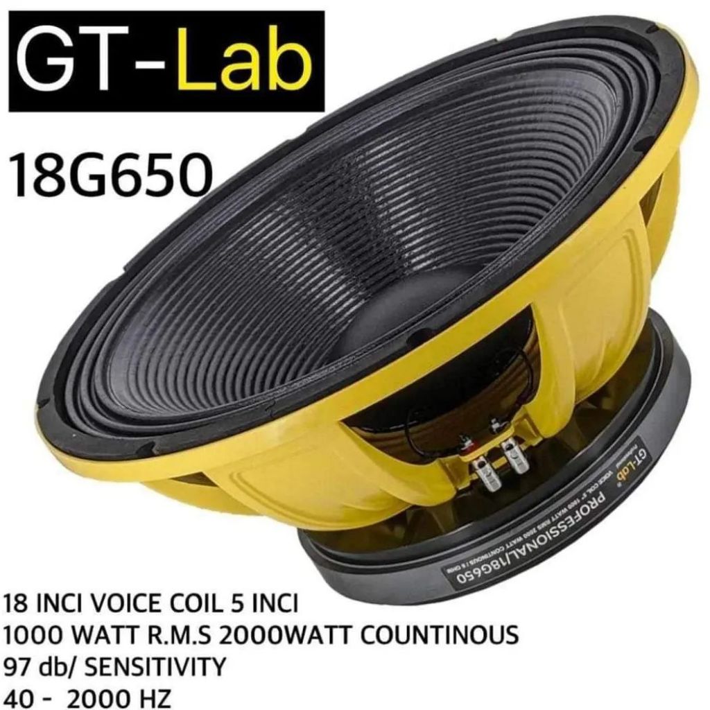 SPEAKER GT-LAB 18G650 ORIGINAL BY RDW