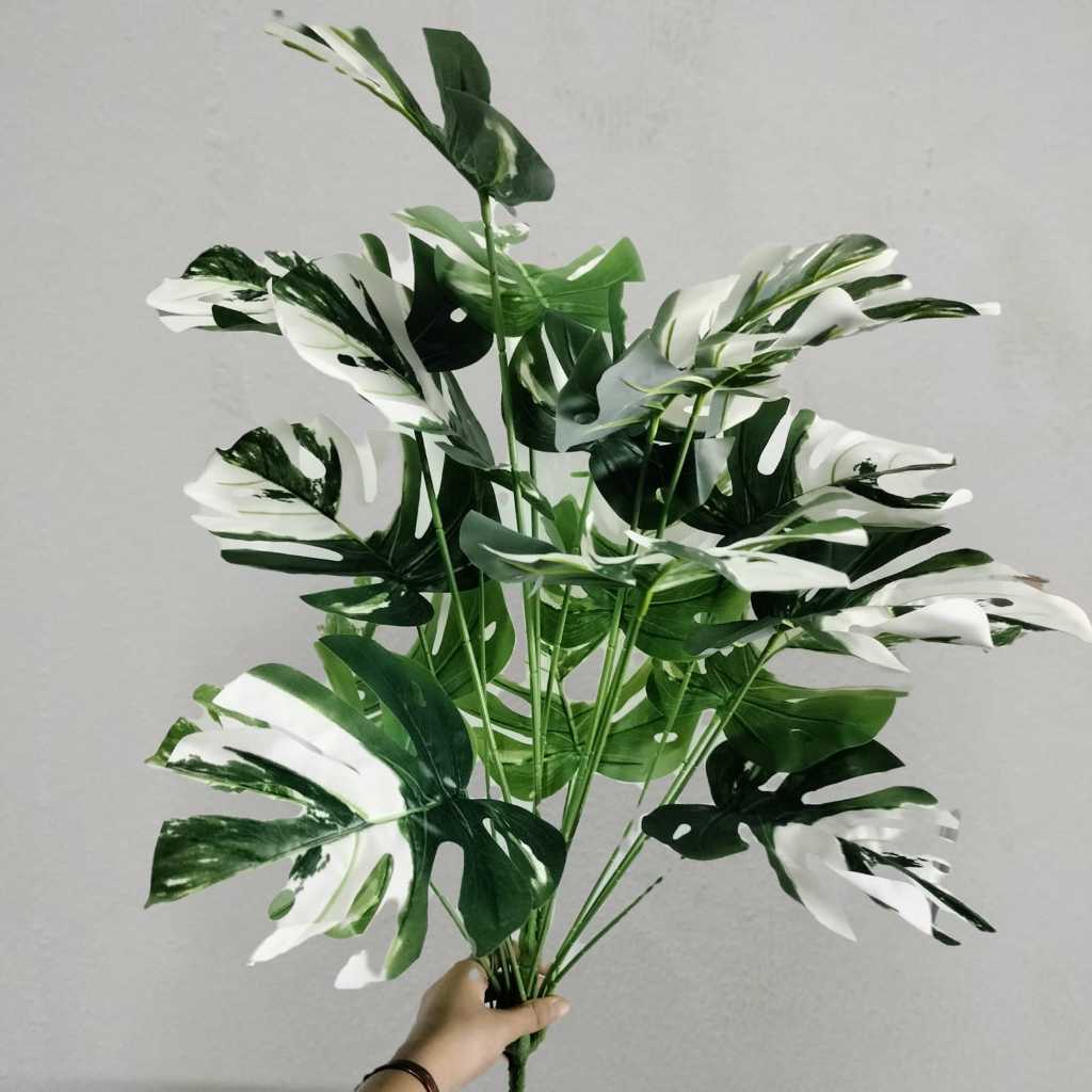 18 tangkai Daun Monstera Variegata Jumbo Artificial pohon saja// Tanaman hias janda bolong variegata