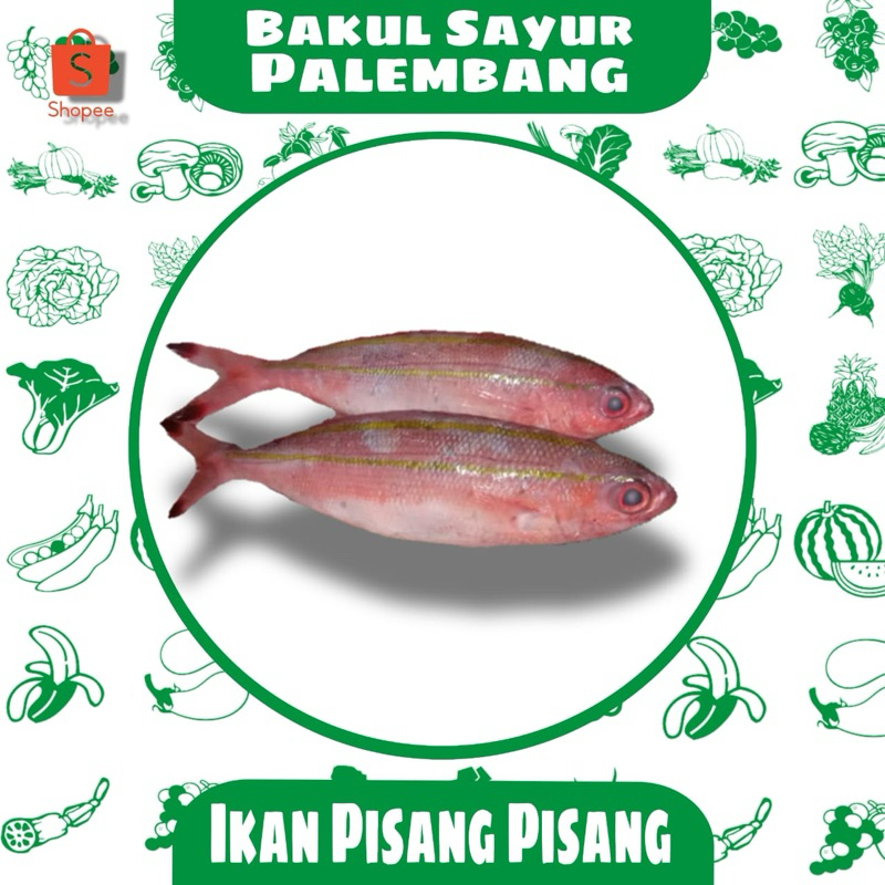 

ikang pisang-pisang (PALEMBANG)