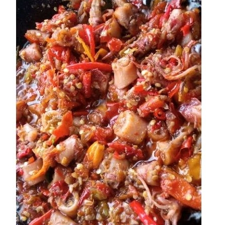 

Sambal Cumi