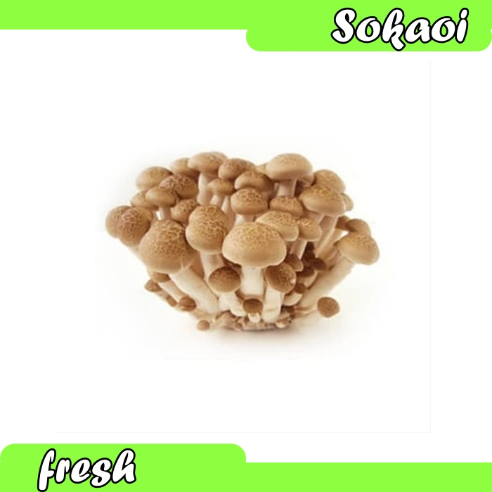 

SAYUR JAMUR SHIMEJI COKLAT