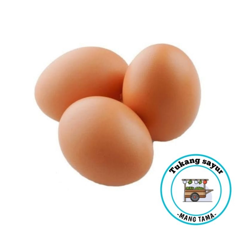 

Telur ayam