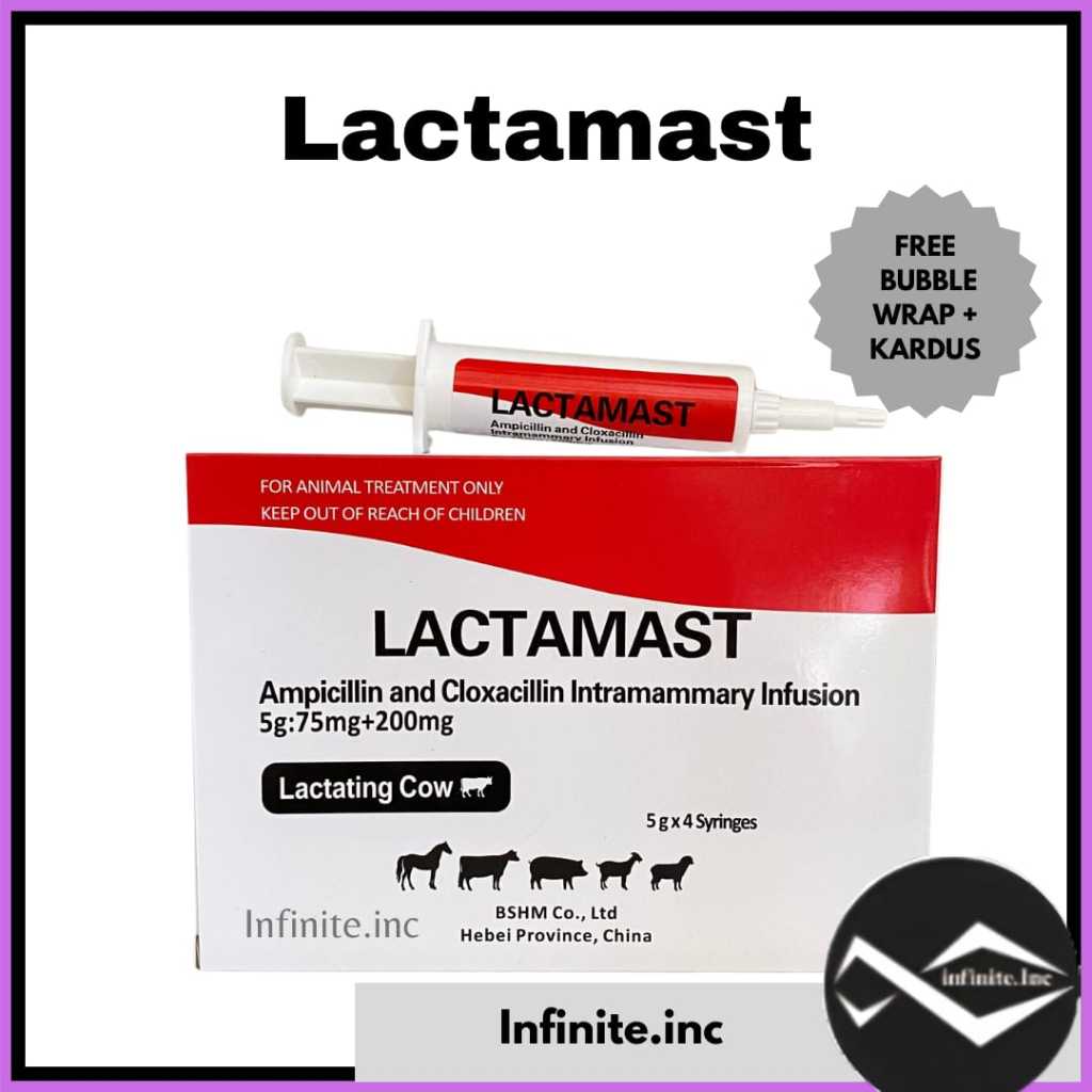 Lactamast 5gr - Antibiotik Intramammary untuk Pengobatan Mastitis pada Sapi Perah
