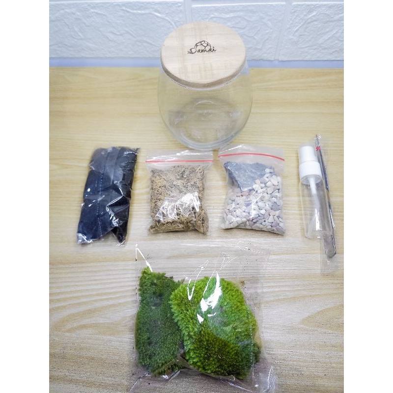 TERRARIUM KIT / TERRARIUM MINI / MOSS TERRARIUM