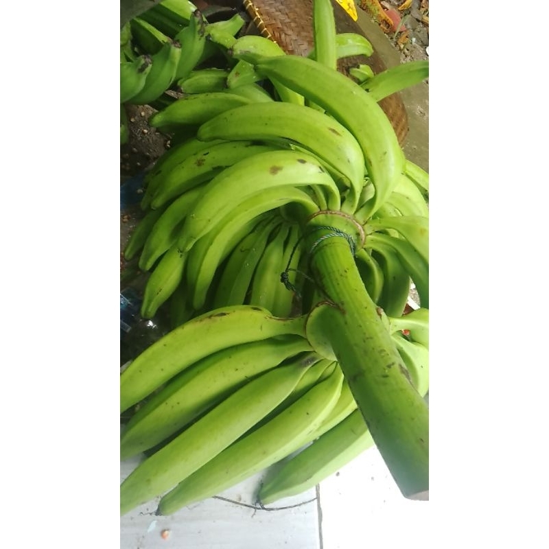 

pisang kapas mentah