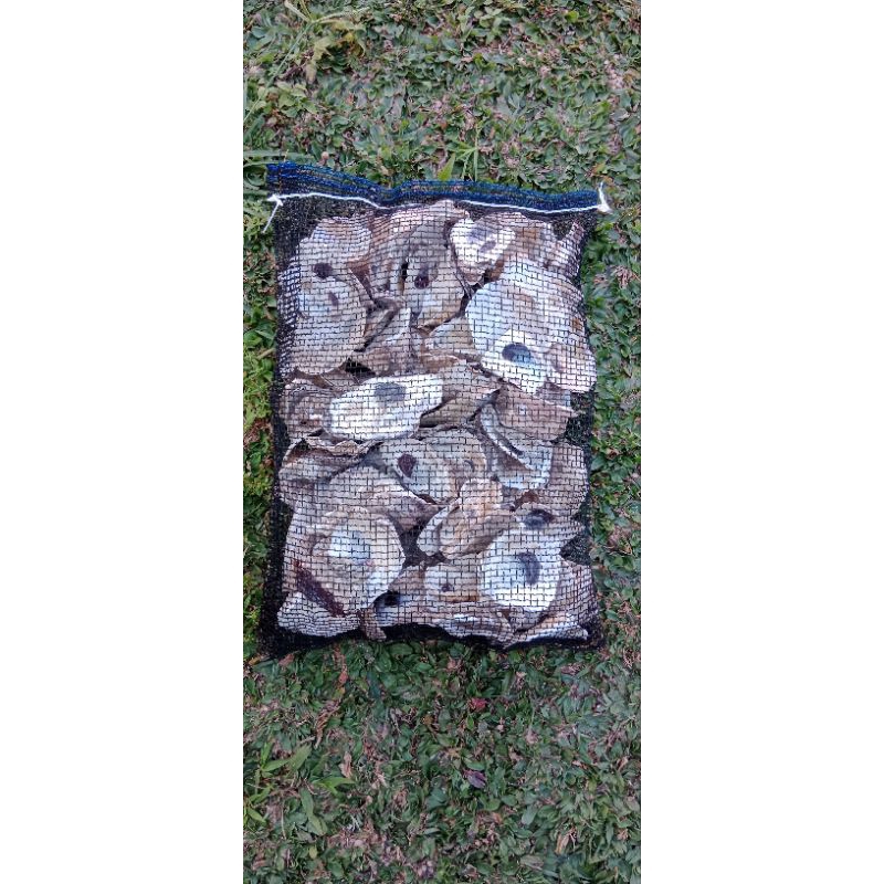 

oyster/cangkang kerang media filter kolam koi kemasan 2kg kantong 30x40