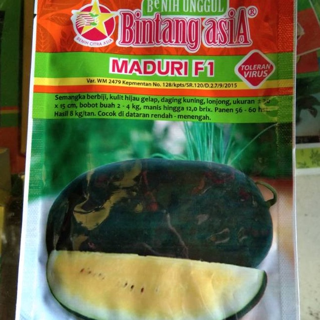 TERLARISSS Benih bibit unggul semangka inul kuning maduri 2gram