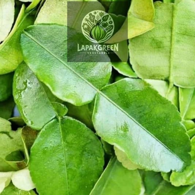 

Daun jeruk purut 100 gr