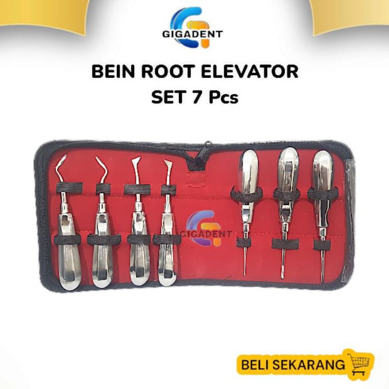 BEIN ROOT ELEVATOR CRYER SET 7