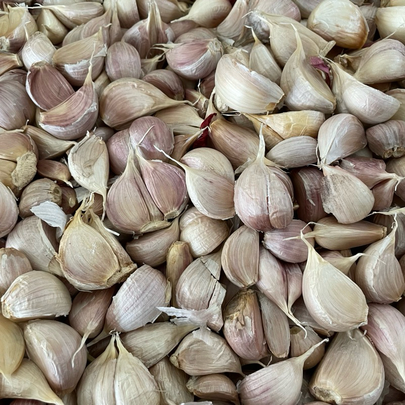

Bawang Putih Kating [INSTAN ONLY]