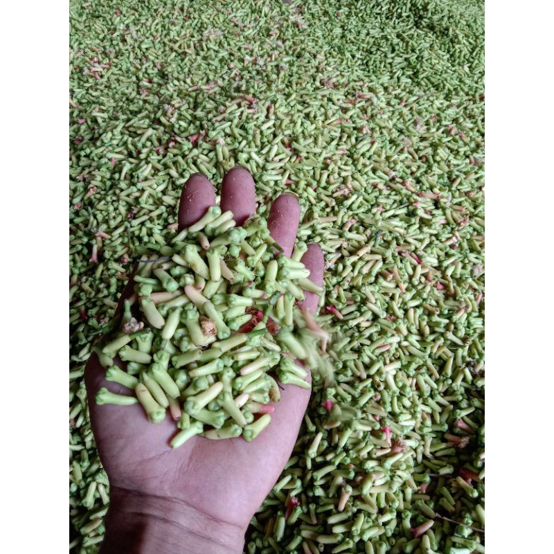 

Cengkeh segar cengkeh kering terbaik 1kg