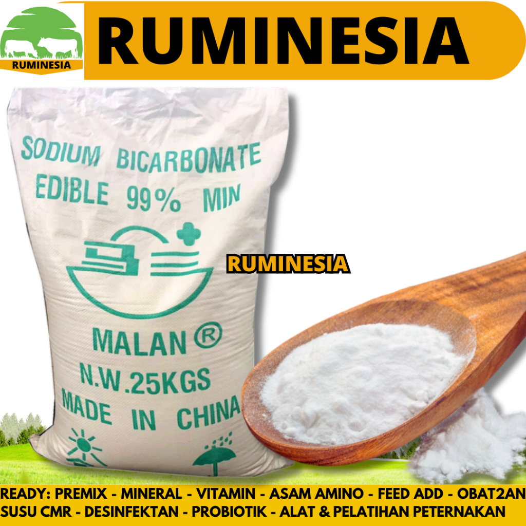 

SODIUM BICARBONATE 25 KG (1 SAK) - SODA KUE - BAKING SODA - Baking Soda Food Grade