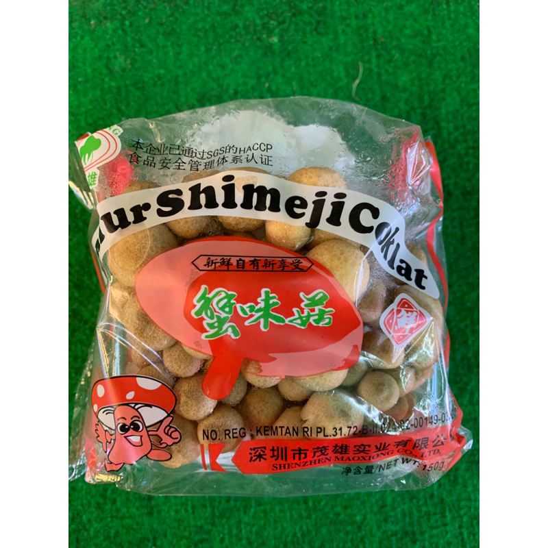 

jamur shimeji coklat