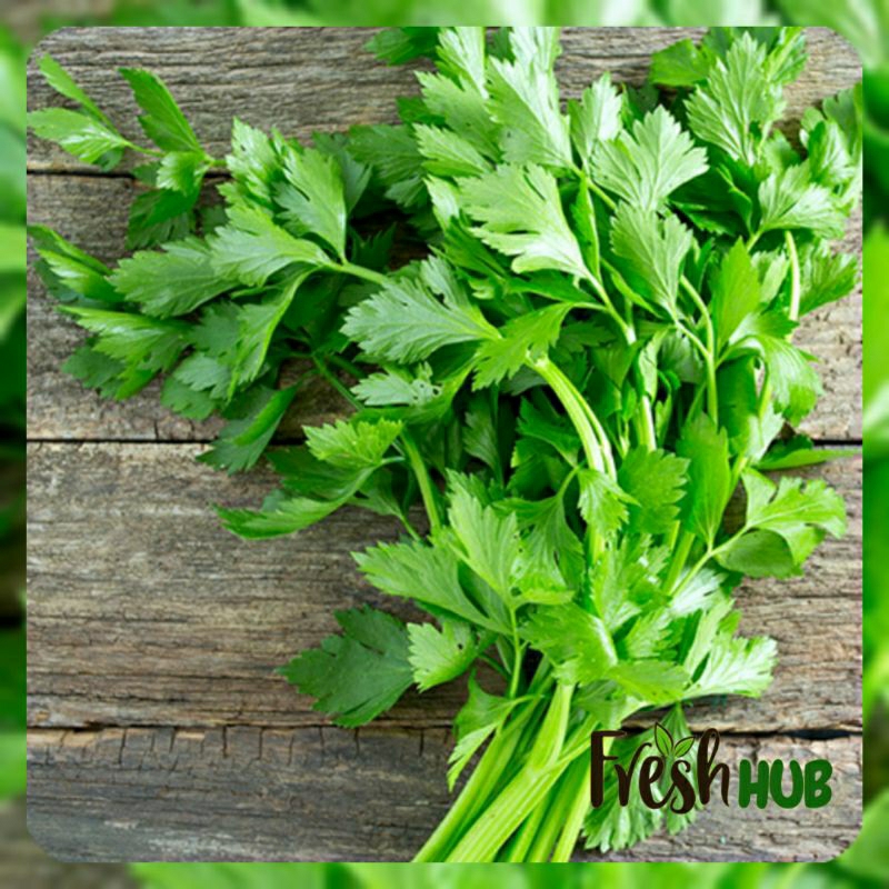 

Daun Seledri 50gr | Sayur Fresh Sehat Segar