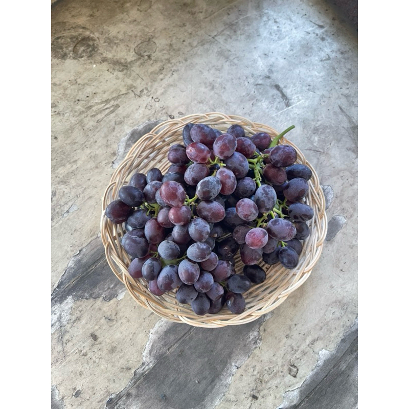 

HAPPYFRESHFRUITS Anggur Hitam USA - 500 g