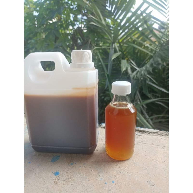 

madu akasia gratis madu klanceng