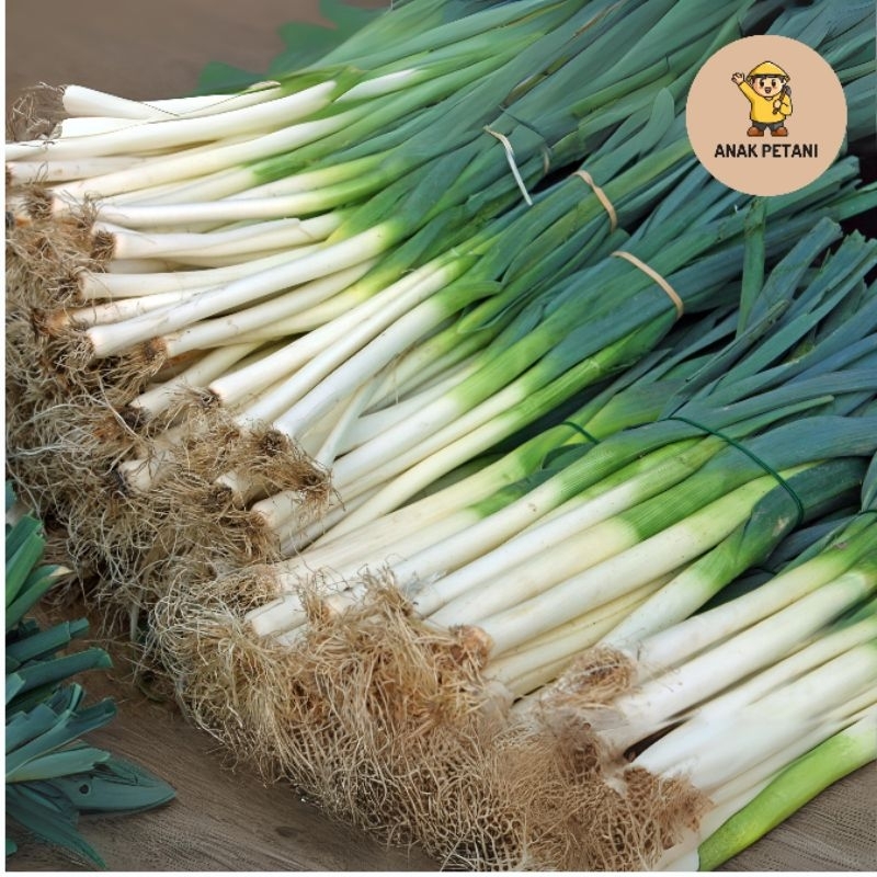 

Daun Bawang Prei 100gr