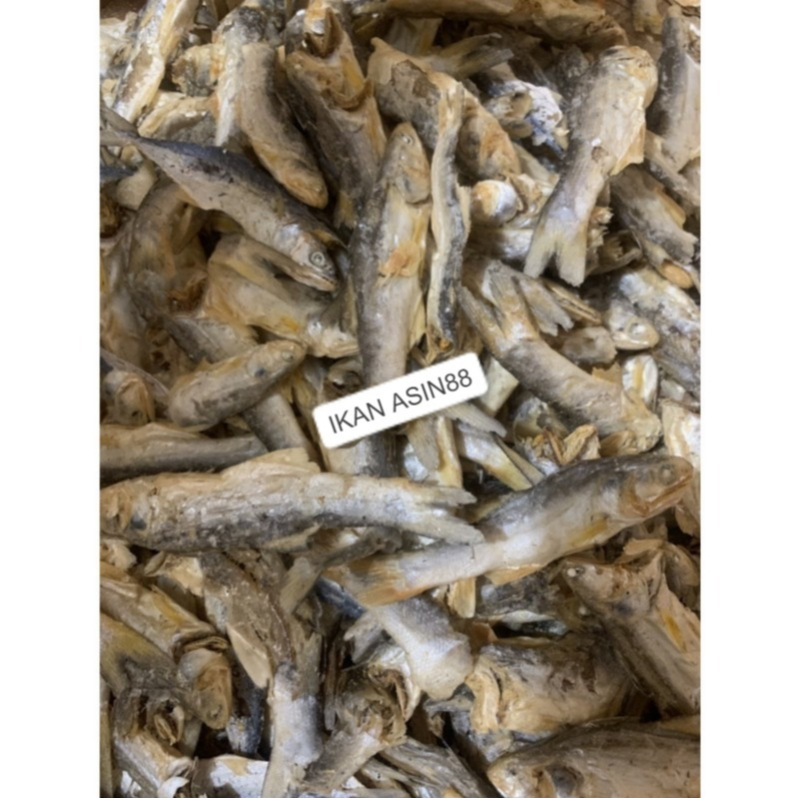 

Ikan Asin SENANGIN / KURO KECIL REBUS BAGANSIAPIAPI 250 gr