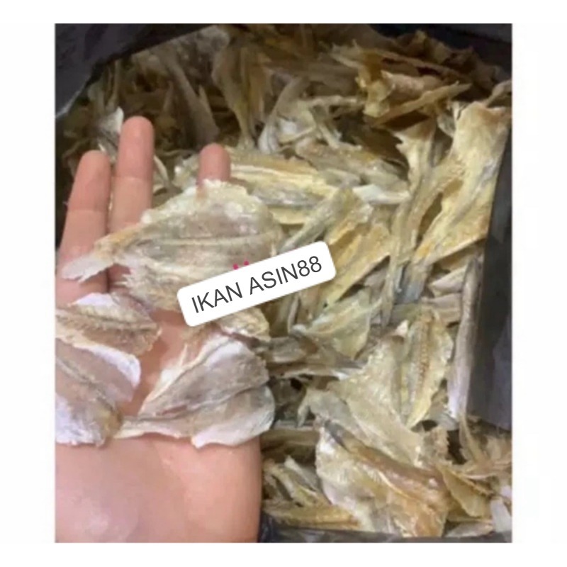 

Ikan asin kalapan tawar 1000 gram Berati 1kg riau