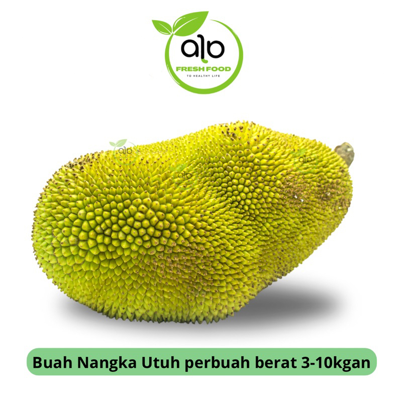buah nangka utuh /1 buah - ALO Fresh Food