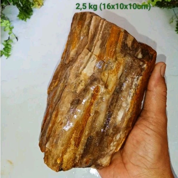 batu galih kelor kristal (491)