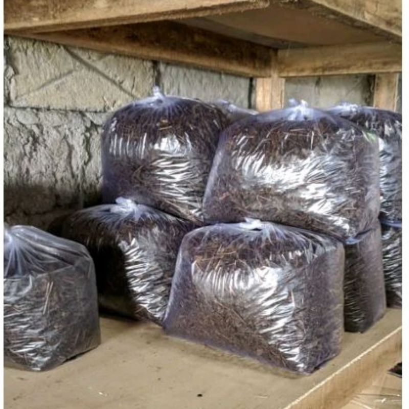 

KEBUN_SUBUR EZA- 1Kg Teh Gambyong Original