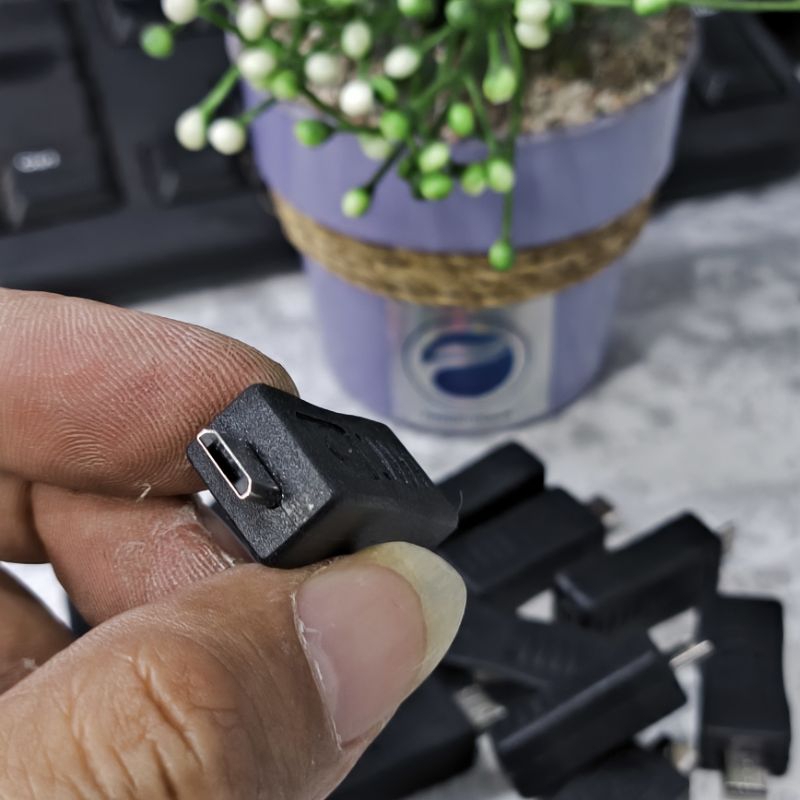 Converter Micro usb to Mini Usb