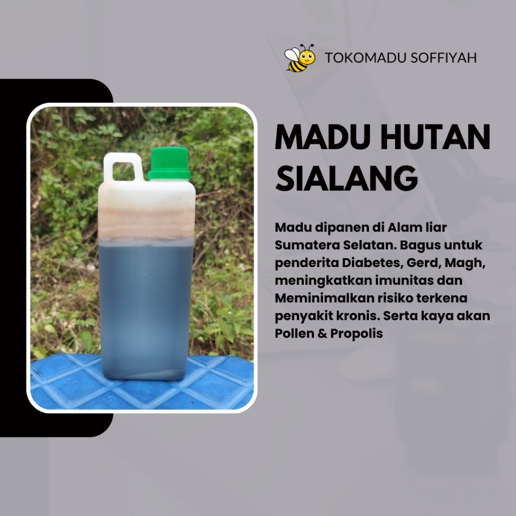 

1kg Madu Hutan Liar Sialang Asli Mentah 100% Raw Honey