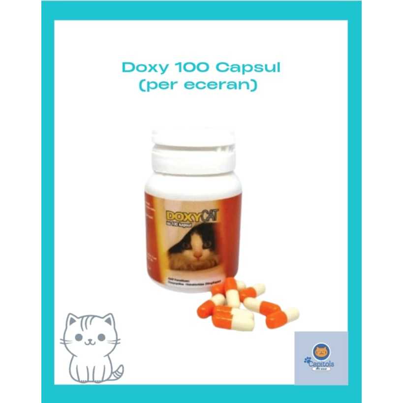 DOXY CAT Antibiotik Flu, Demam, dan Batuk Kucing DoxyCat ECER