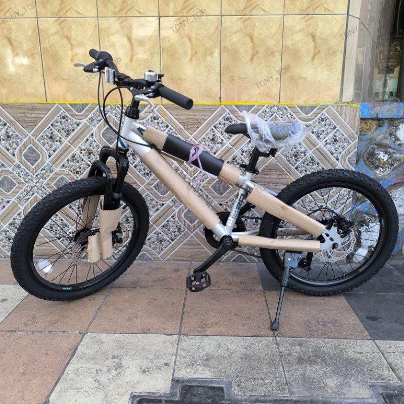 Sepeda Mtb 20 Polygon Maze