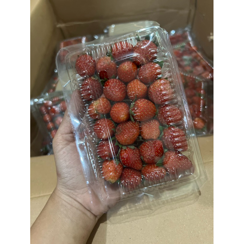 

strawberry grade C (kecil)