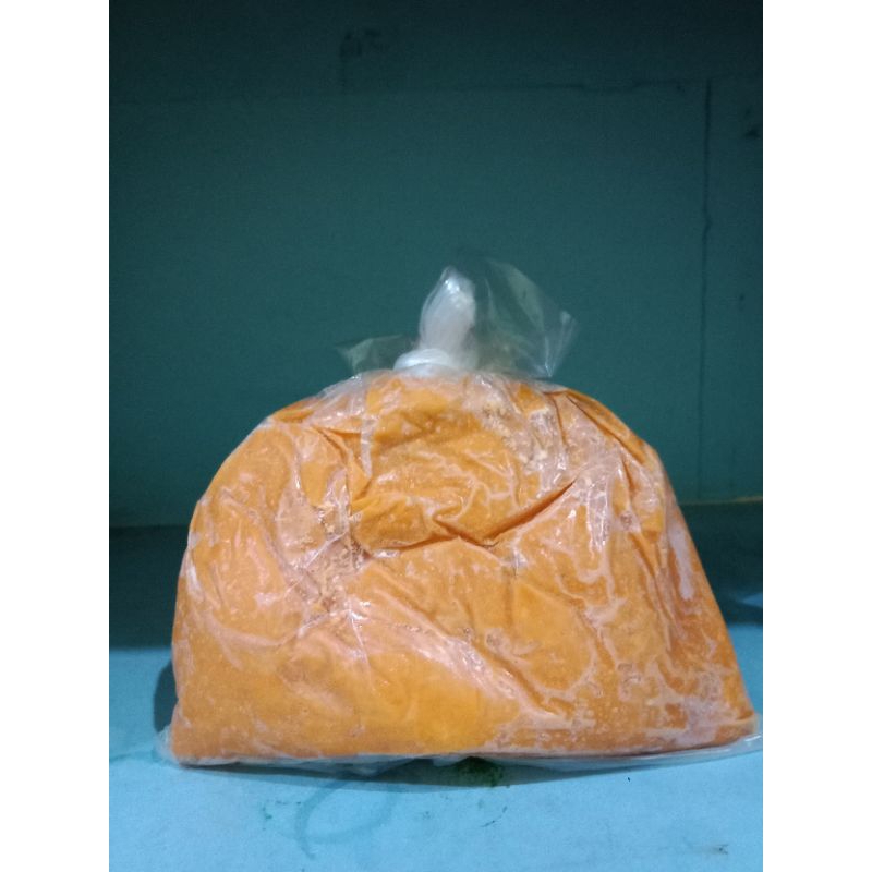 Umpan peren telur muda siap pakai/umpan Galatama lele