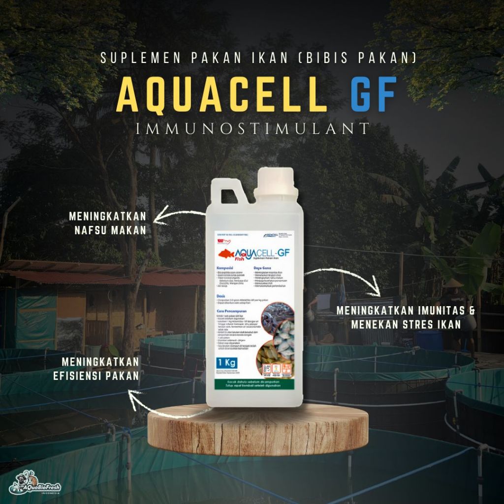 Imunostimulan Aquacell GF Untuk Meningkatkan Imun Ikan (Bibis Pakan)