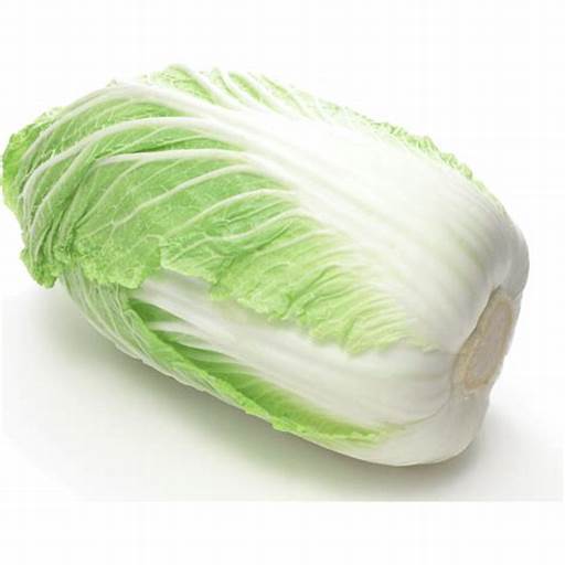 

sawi puih segar/ sawi putih fresh