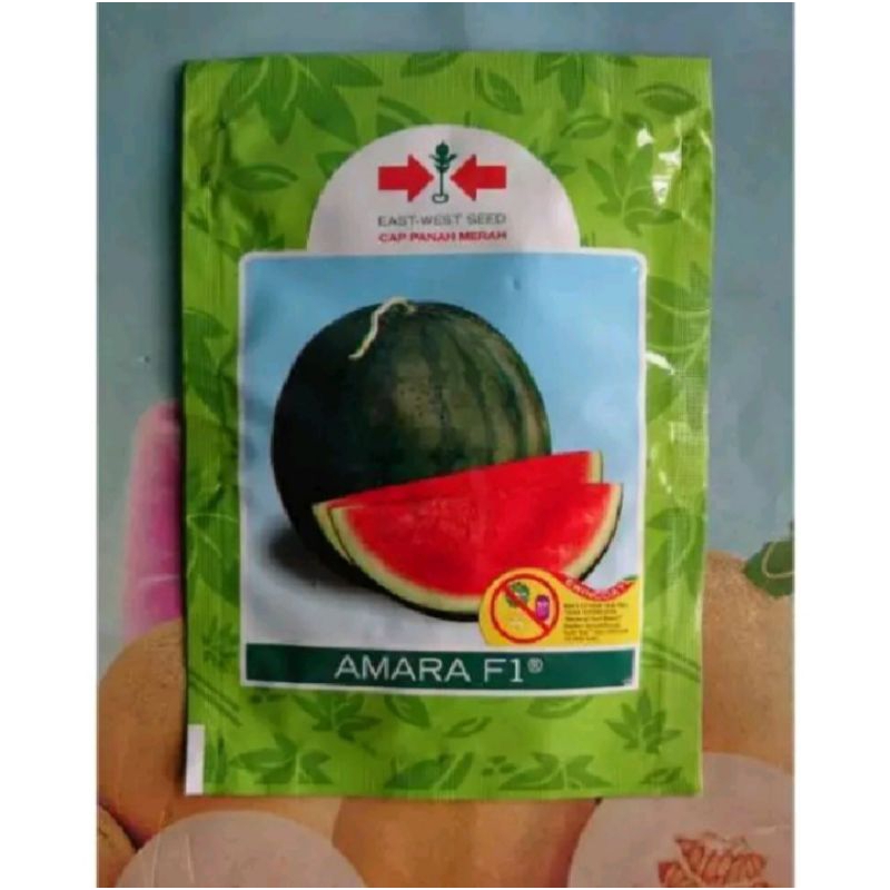 isi 25 butir benih bibit semangka Amara F1 semangka non biji semangka inul