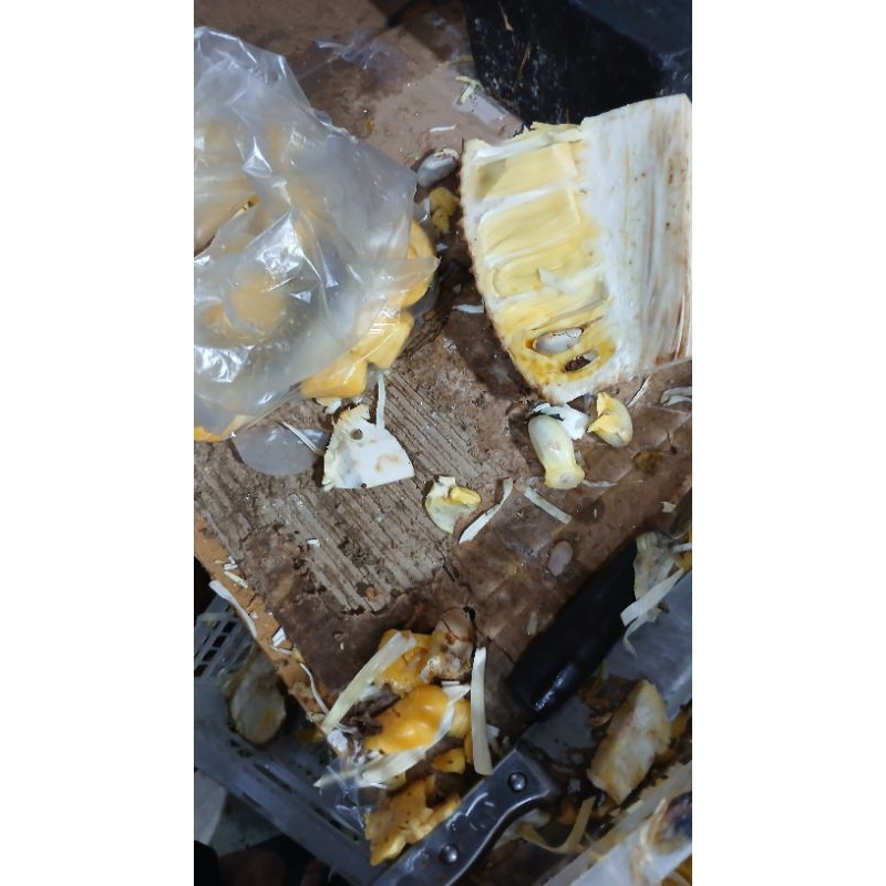 

nangka matang kupas 5kg