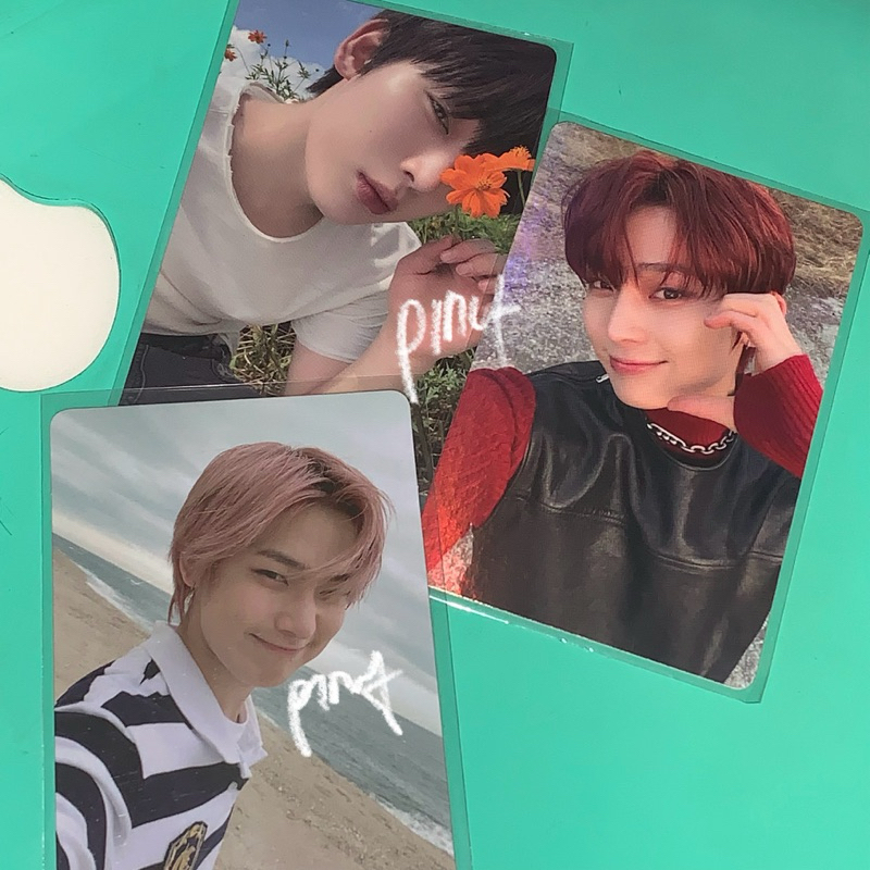 SUNOO SHOWCASE DARK BLOOD DB DARKBLOOD TAMED DASHED DIMION DILEMMA DD TD BENE BENEFIT WEVERSE ORANGE