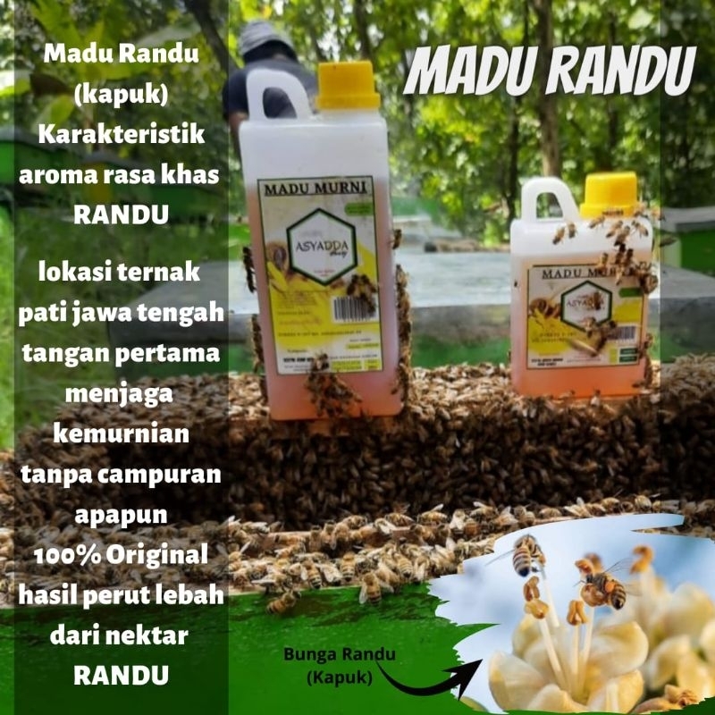 

Madu Randu 1kg Raw Honey Asli Sarang Madu Original 100% Aroma khas